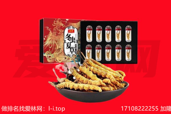 东丰县回收虫草.jpg